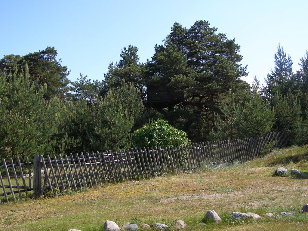 Treimani Puhkemaja Vila Quarto foto